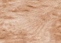 Maple HPL Sheet